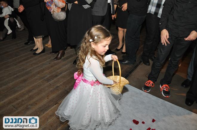 תמונה גדולה